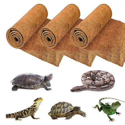 IntiMeg Coussin en coco de compagnie