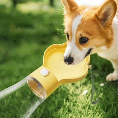 ZenPets Botella de agua para gatos y perros