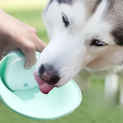 IntiMeg Botella de agua para perros 2 en 1
