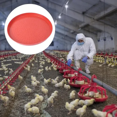 ZooVenture Assiettes Pour Alimentation De Volaille En 3 Pièces Pour Poules
