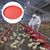 ZooVenture Assiettes Pour Alimentation De Volaille En 3 Pièces Pour Poules