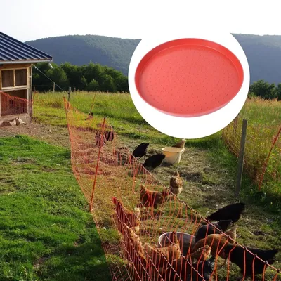 ZooVenture Assiettes Pour Alimentation De Volaille En 3 Pièces Pour Poules