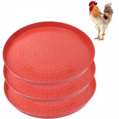 ZooVenture Assiettes Pour Alimentation De Volaille En 3 Pièces Pour Poules