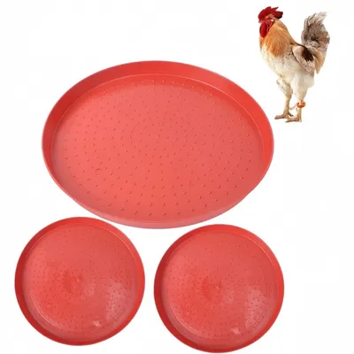 ZooVenture Assiettes Pour Alimentation De Volaille En 3 Pièces Pour Poules