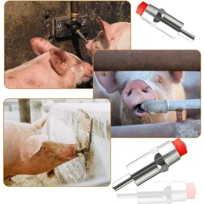 ZooVenture 10 Abreuvoirs Auto À Tétine Filtres Truies Porcelets