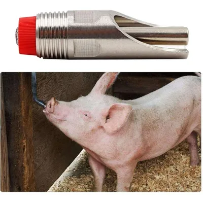 ZooVenture 10 Abreuvoirs Auto À Tétine Filtres Truies Porcelets