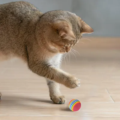 UAMLY Jouet interactif Balle arc-en-ciel pour chat