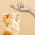 UAMLY Boules froissées pour chatons