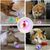 UAMLY Jouet pour chat, balle interactive à LED