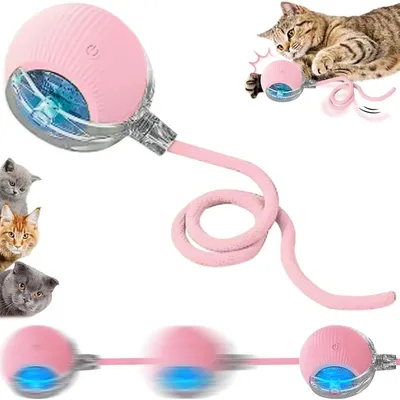 UAMLY Balle jouet interactive à 360° pour chat