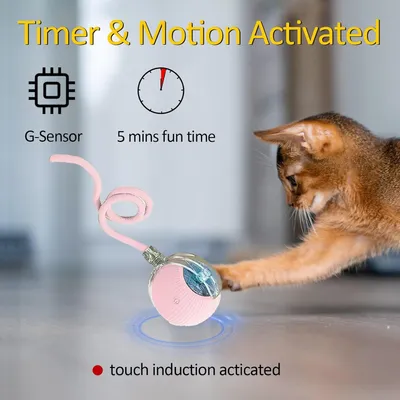 UAMLY Balle jouet interactive à 360° pour chat