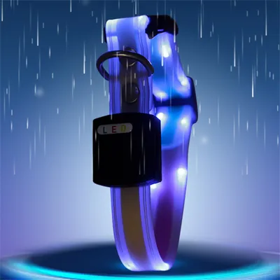 IntiMeg Collier LED lumineux pour animaux de compagnie