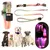 IntiMeg Collier LED lumineux pour animaux de compagnie