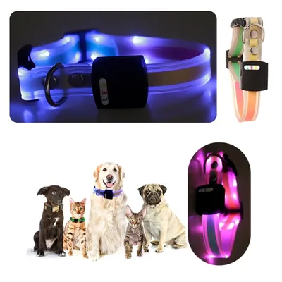IntiMeg Collier LED lumineux pour animaux de compagnie