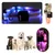 IntiMeg Collier LED lumineux pour animaux de compagnie