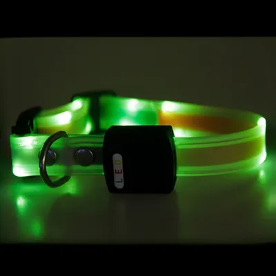 IntiMeg Collier LED lumineux pour animaux de compagnie