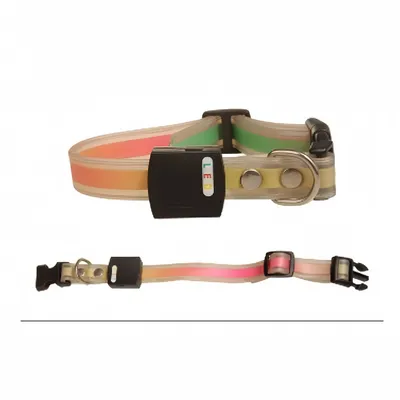 IntiMeg Collier LED lumineux pour animaux de compagnie