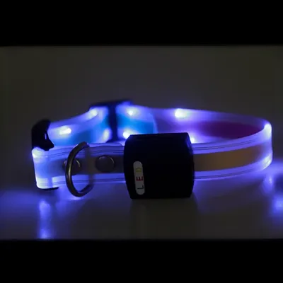 IntiMeg Collier LED lumineux pour animaux de compagnie