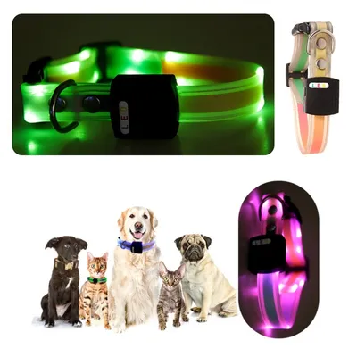 IntiMeg Collier LED lumineux pour animaux de compagnie IntiMeg Collier LED lumineux pour animaux de compagnie
