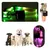 IntiMeg Collier LED lumineux pour animaux de compagnie