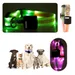 IntiMeg Collier LED lumineux pour animaux de compagnie