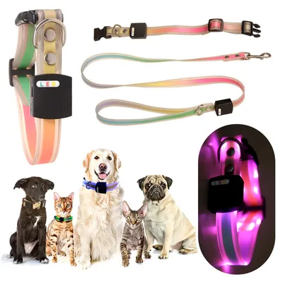IntiMeg Collier LED lumineux pour animaux de compagnie