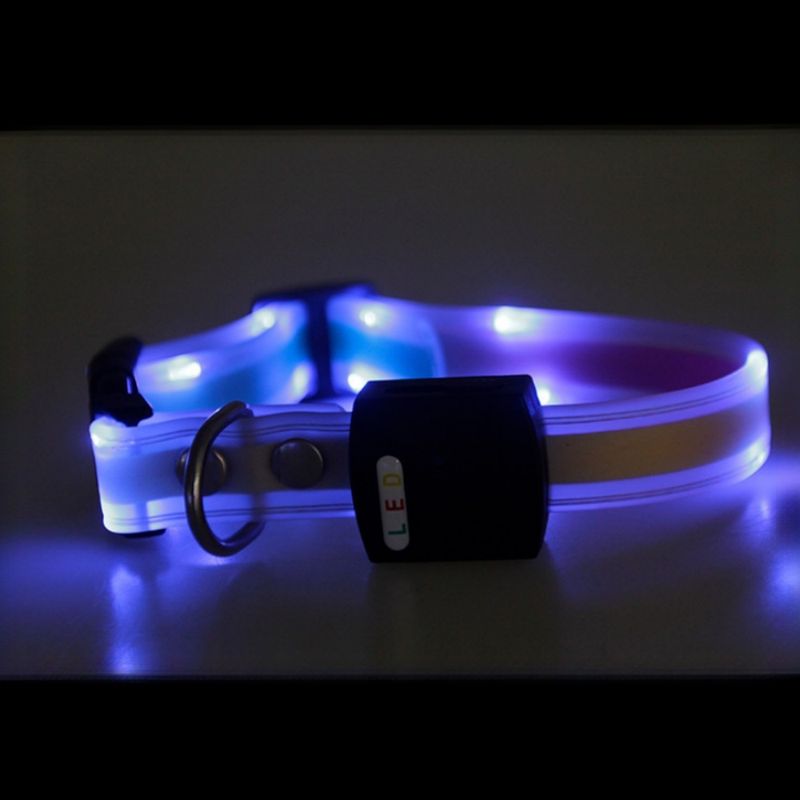 IntiMeg Collier LED lumineux pour animaux de compagnie