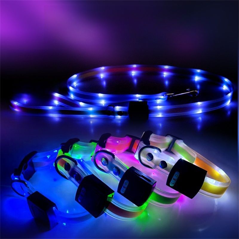 IntiMeg Collier LED lumineux pour animaux de compagnie