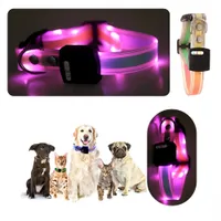 IntiMeg Collier LED lumineux pour animaux de compagnie