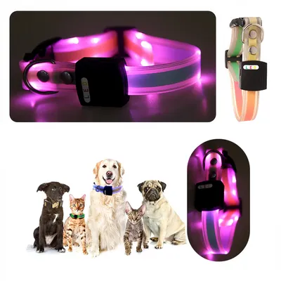 IntiMeg Collier LED lumineux pour animaux de compagnie IntiMeg Collier LED lumineux pour animaux de compagnie