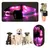 IntiMeg Collier LED lumineux pour animaux de compagnie