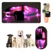IntiMeg Collier LED lumineux pour animaux de compagnie