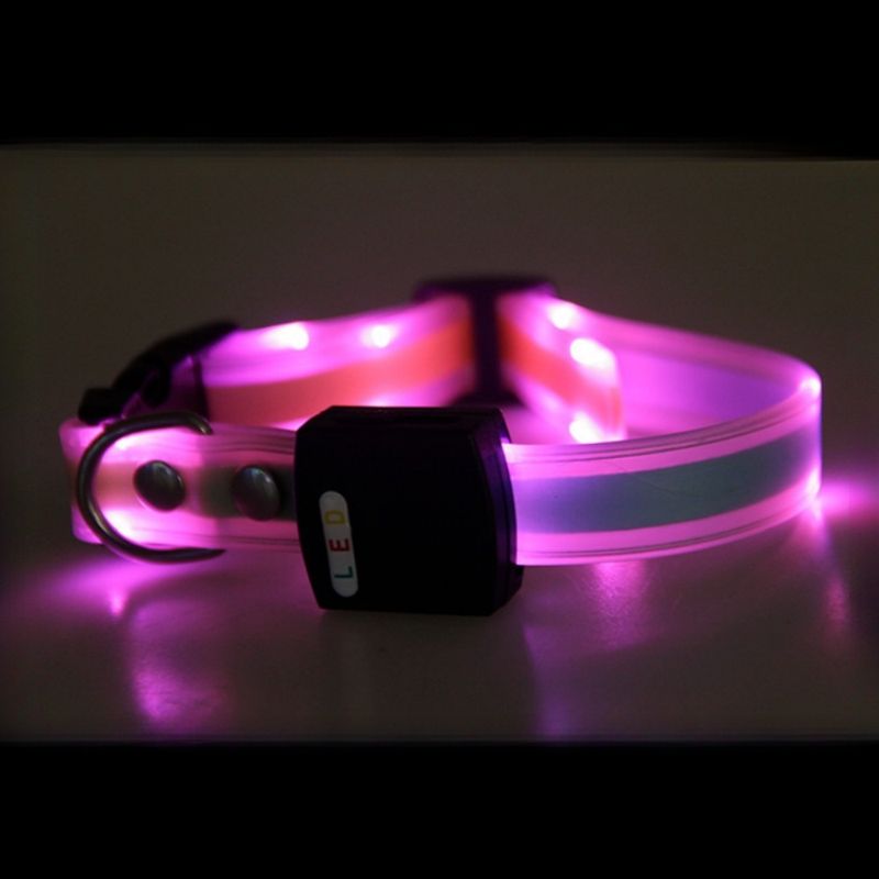 IntiMeg Collier LED lumineux pour animaux de compagnie