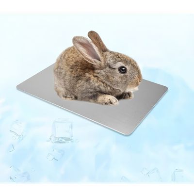IntiMeg Tapis de refroidissement d'été  pour petits animaux