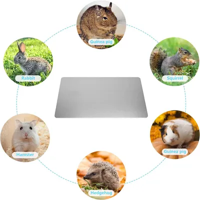 IntiMeg Tapis de refroidissement d'été  pour petits animaux