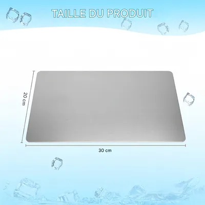 IntiMeg Tapis de refroidissement d'été  pour petits animaux