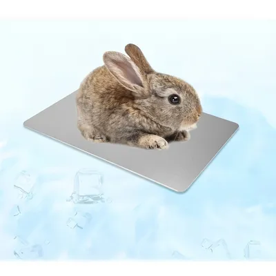 IntiMeg Tapis de refroidissement d'été pour petits animaux IntiMeg Tapis de refroidissement d'été pour petits animaux