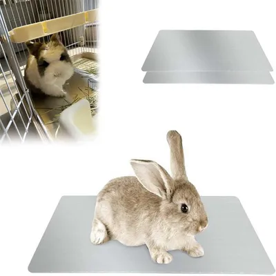 IntiMeg Tapis de refroidissement d'été  pour petits animaux