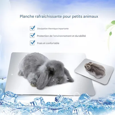 IntiMeg Tapis de refroidissement d'été  pour petits animaux