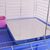 IntiMeg Tapis de refroidissement d'été  pour petits animaux