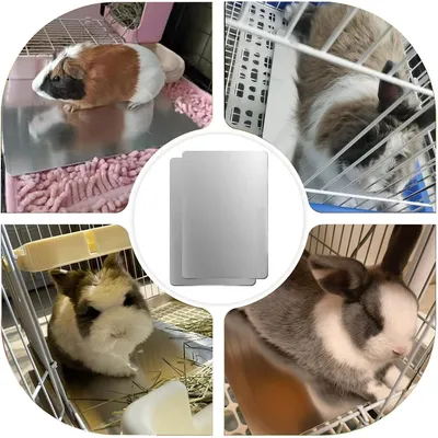 IntiMeg Tapis de refroidissement d'été  pour petits animaux