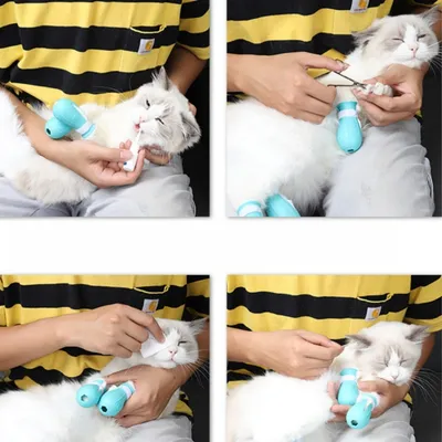 ZenPets Protège - griffes en silicone pour chat
