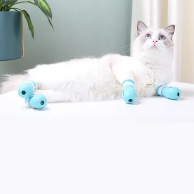 ZenPets Protège - griffes en silicone pour chat