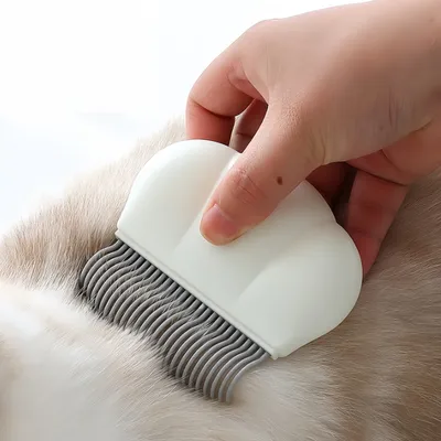 FurryFusion Brosse de massage pour chat