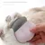 FurryFusion Brosse de massage pour chat