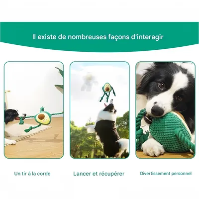 IntiMeg Juguete de peluche para perros que emite un chirrido