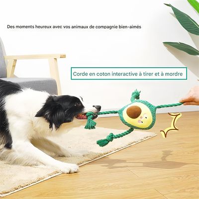 IntiMeg Jouet en peluche sonore pour chien