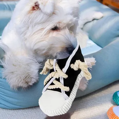 ZooVenture Zapatos de juguete para masticar para perros