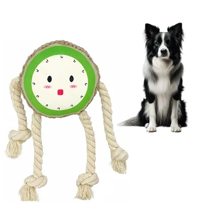 IntiMeg Jouet en peluche sonore pour chien