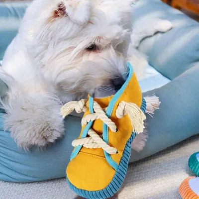 ZooVenture Hunde-Kauspielzeugschuhe ZooVenture Hunde-Kauspielzeugschuhe